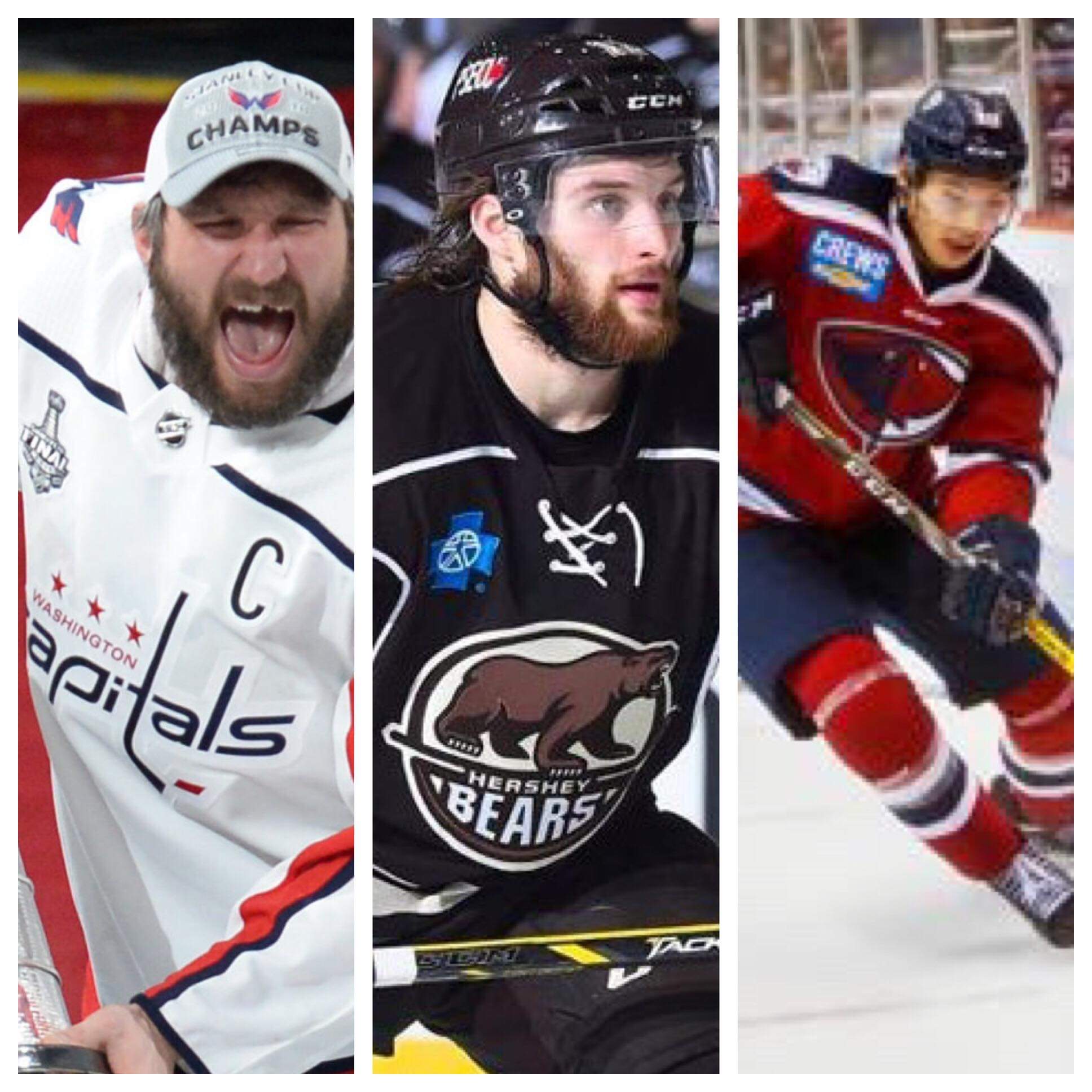 Capitals, Bears, Stingrays all make playoffs
