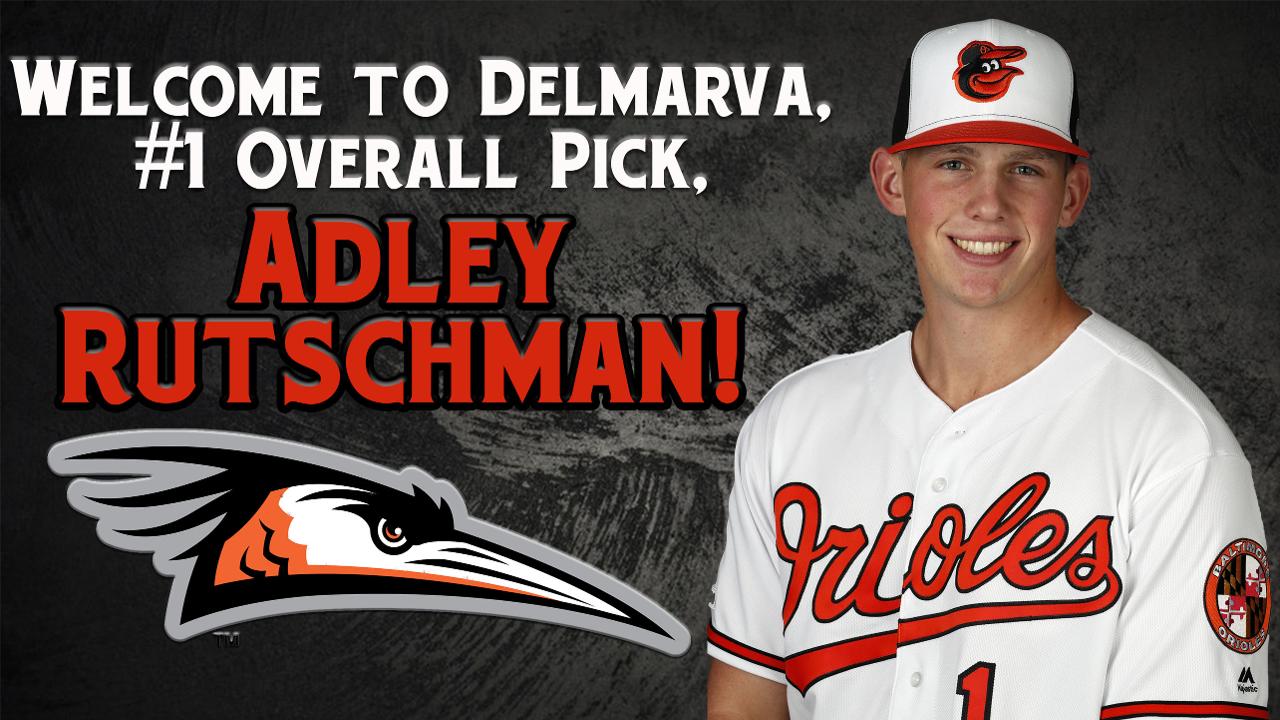 Shorebirds set franchise wins record; Adley arrives