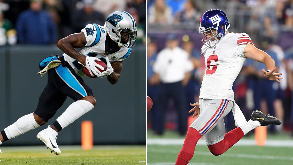Ravens sign a punter and wide receiver to help out in practice