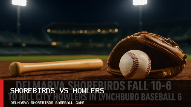 Delmarva Shorebirds Fall 10-6 to Hill City Howlers in Lynchburg Baseball Game