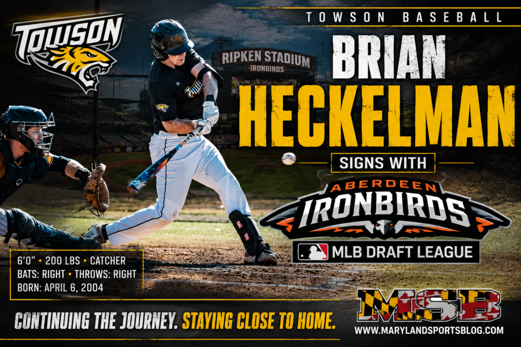 Towson Catcher Brian Heckelman Continues Professional Dream with Aberdeen IronBirds