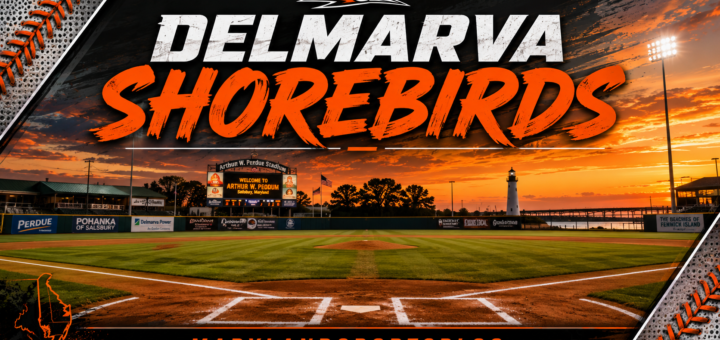 Delmarva Shorebirds Baseball Game Against Hill City Howlers Postponed Due to Rain; Doubleheader Scheduled for July 23 in Lynchburg featured image