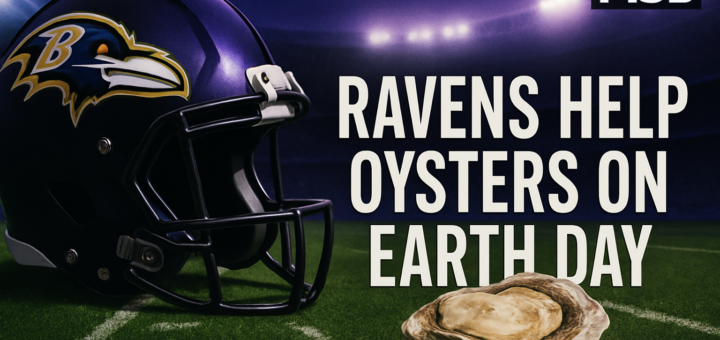 Ravens Help Oysters on Earth Day featured image