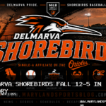 Delmarva Shorebirds Baseball Falls 12-5 to Hickory Crawdads in Series Opener