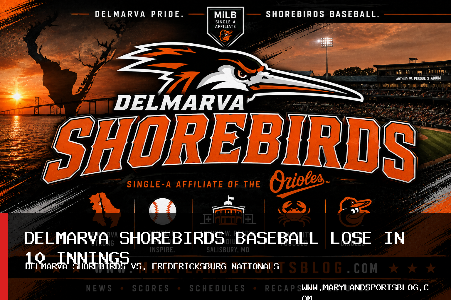 Delmarva Shorebirds Baseball Lose 5-4 to Fredericksburg Nationals in 10 Innings featured image