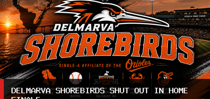 Delmarva Shorebirds Baseball Shut Out 11-0 by Fredericksburg Nationals in 2026 Home Finale featured image