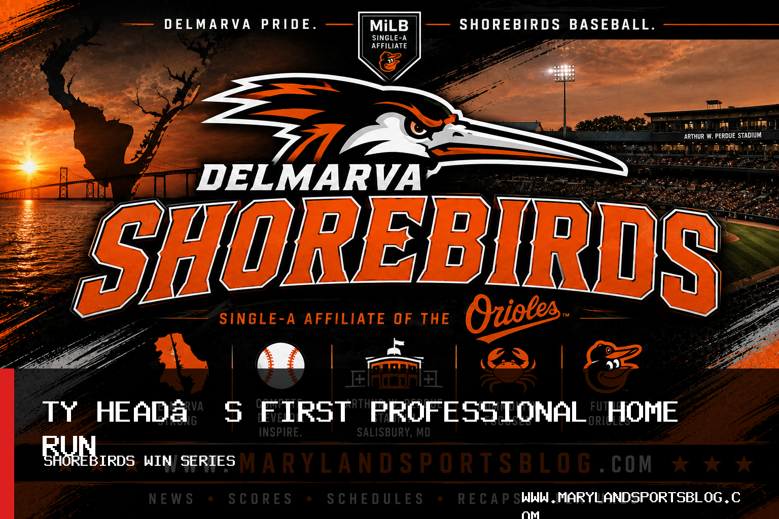 Delmarva Shorebirds Beat Salem RidgeYaks 8-5 as Ty Head Hits First Professional Home Run featured image