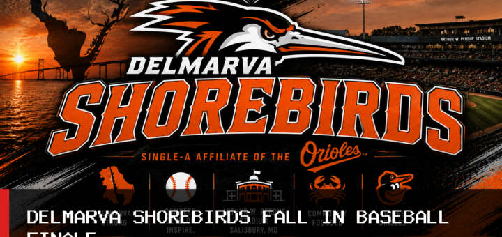 Delmarva Shorebirds Fall 4-2 to Hickory Crawdads in Baseball Finale featured image