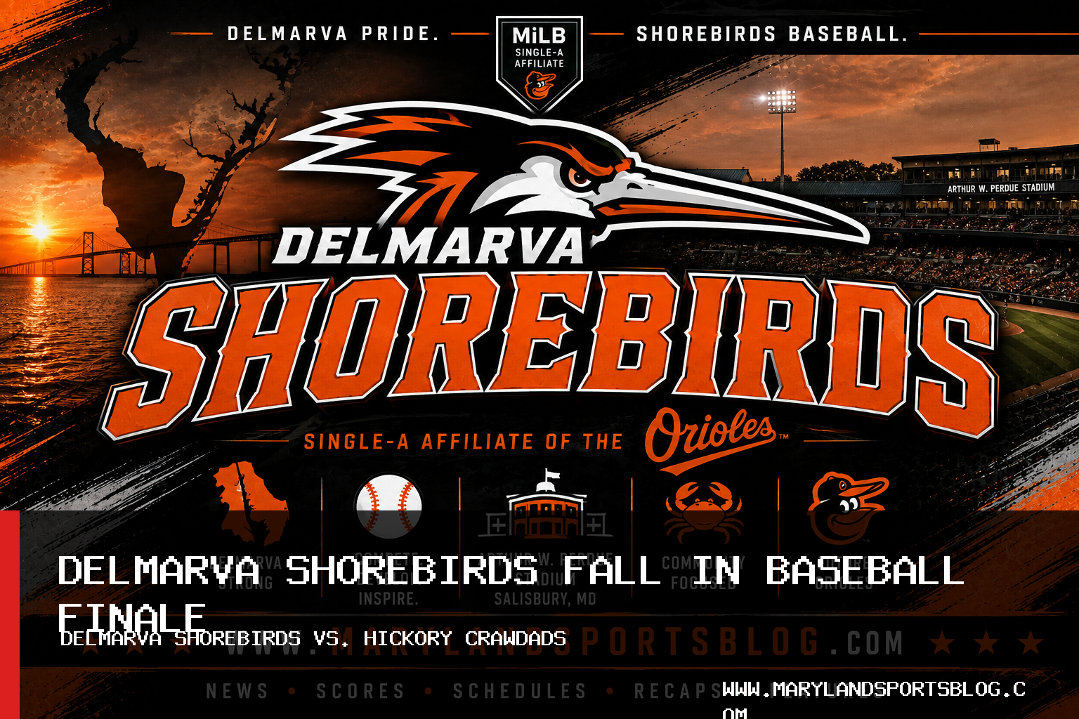 Delmarva Shorebirds Fall 4-2 to Hickory Crawdads in Baseball Finale featured image