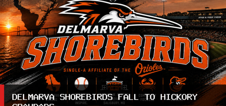 Delmarva Shorebirds Fall 7-2 to Hickory Crawdads Despite Five Strong Innings From Brayan Orrantia featured image