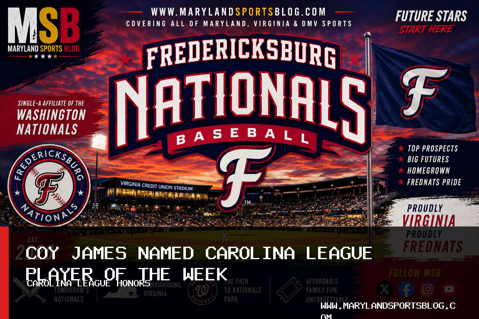 Fredericksburg Nationals Infielder Coy James Named Carolina League Player of the Week featured image