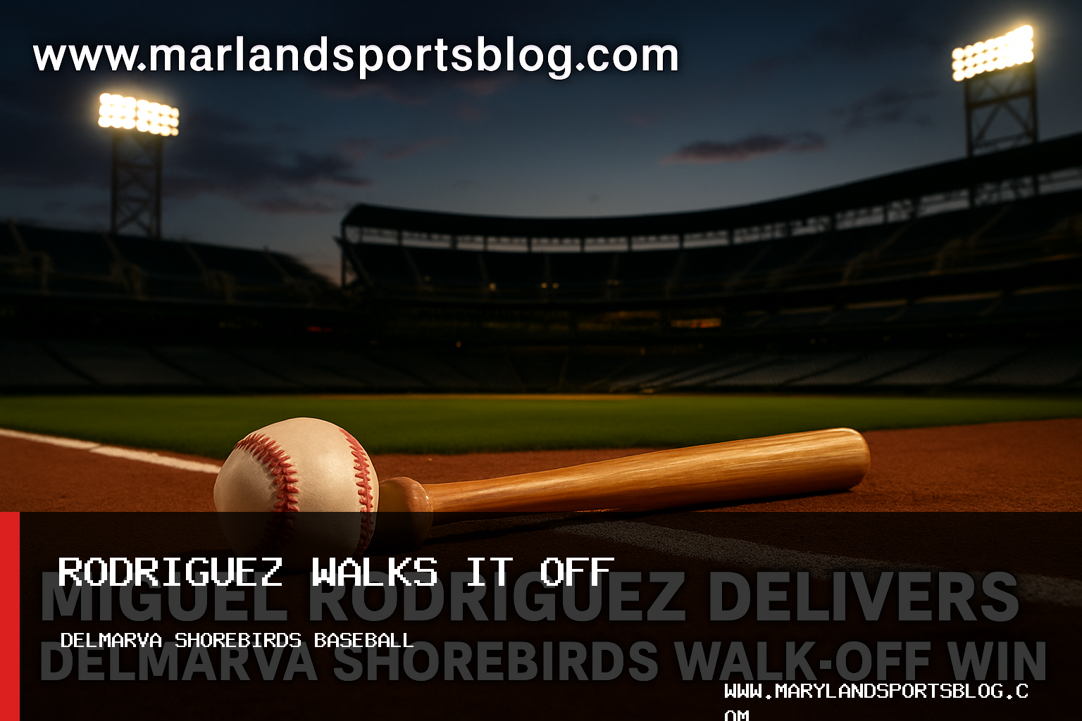 Miguel Rodriguez Delivers Delmarva Shorebirds Walk-Off Win featured image