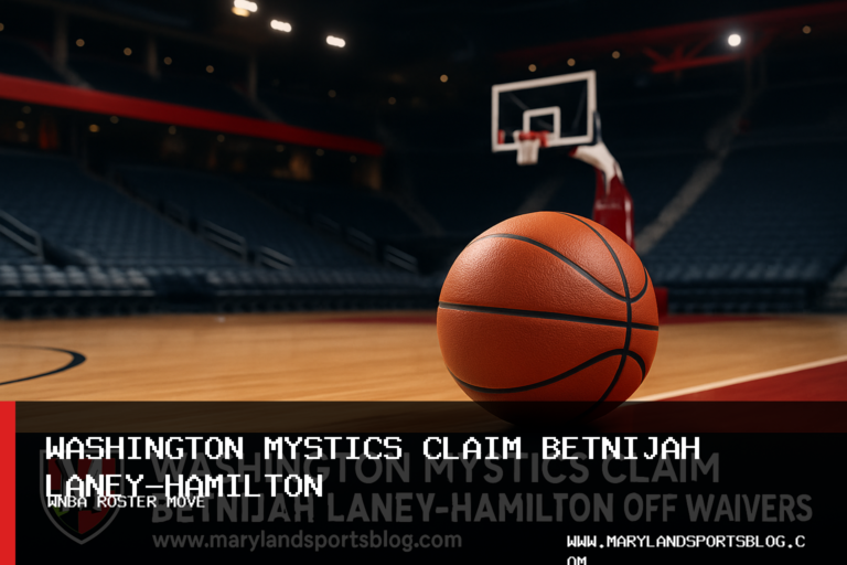 Washington Mystics Claim Betnijah Laney-Hamilton Off Waivers featured image