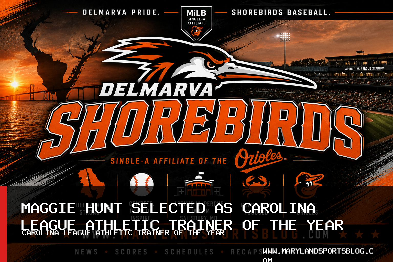 Delmarva Shorebirds Athletic Trainer Maggie Hunt Selected as 2026 Carolina League Athletic Trainer of the Year featured image