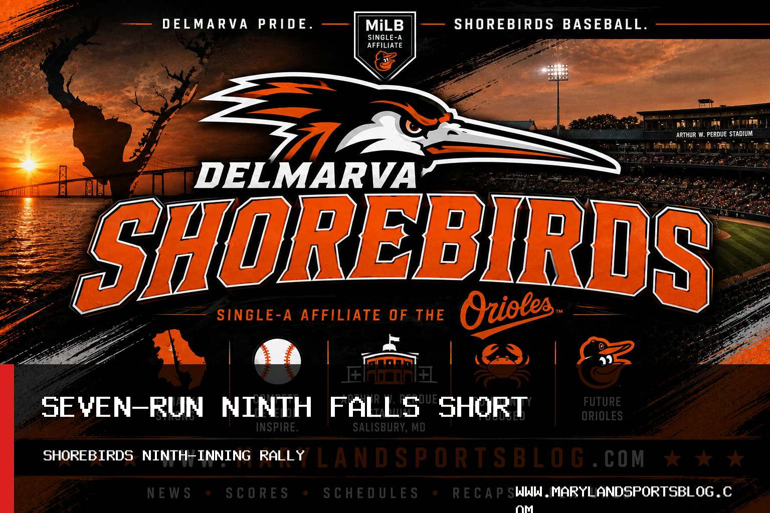 Delmarva Shorebirds Rally for Seven Runs in Ninth Before Kannapolis Cannon Ballers Walk-Off featured image
