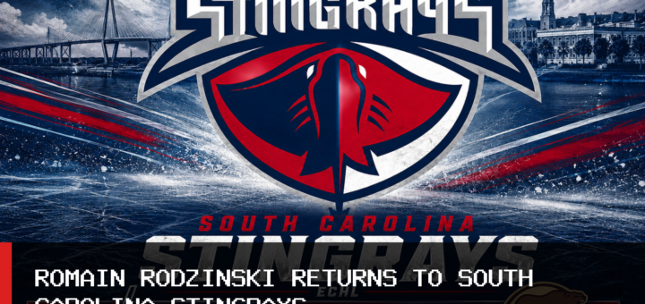 South Carolina Stingrays Agree to Terms With Romain Rodzinski After 33-Point Season featured image