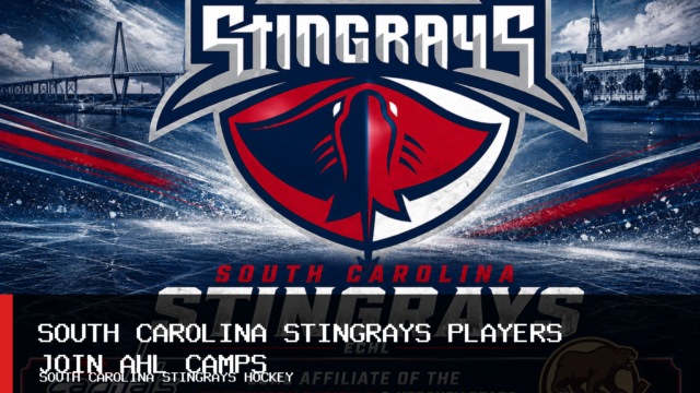 South Carolina Stingrays Have Four Players in American Hockey League Training Camps
