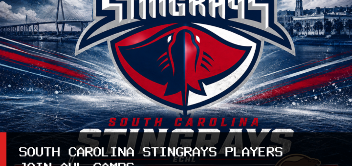 South Carolina Stingrays Have Four Players in American Hockey League Training Camps featured image