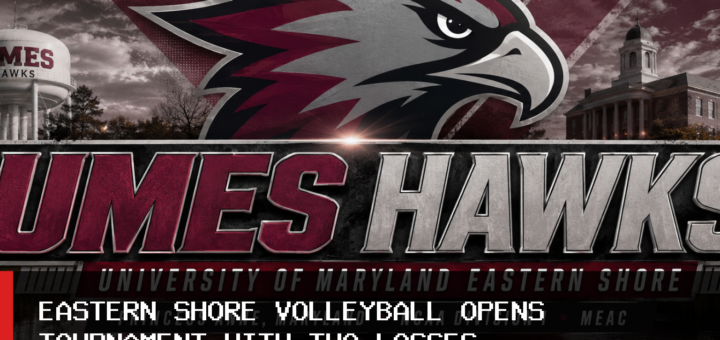 University of Maryland Eastern Shore Women’s Volleyball Falls to George Mason and Hampton in Fairfax featured image